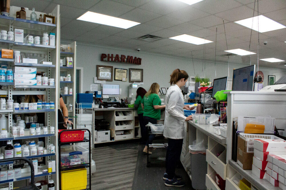 The pharmacy staff at Southern Drug Company in Blue Ridge, Ga. work to fill prescriptions on March 7. 