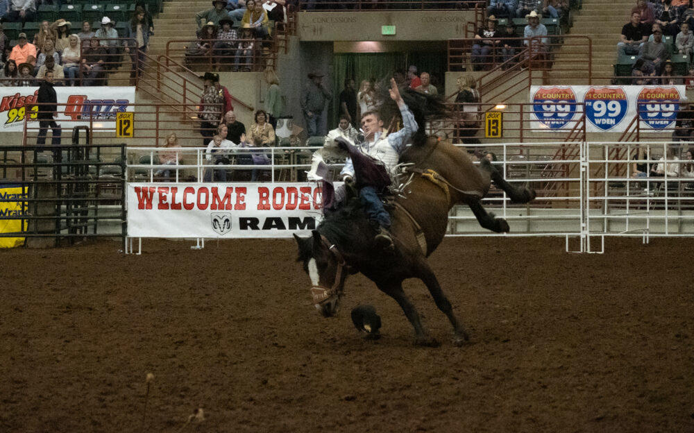 Bareback rider Hunter Ramsey on Cover Girl, the horse he was assigned for the rodeo.