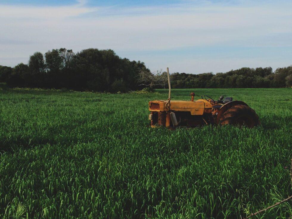 Under House Bill 1150, which the Georgia House passed early this month, neighbors bothered by bad smells, dust, noise or water pollution emanating from a farm would have one year to file a nuisance suit. After that, any farm operating legally would be protected.