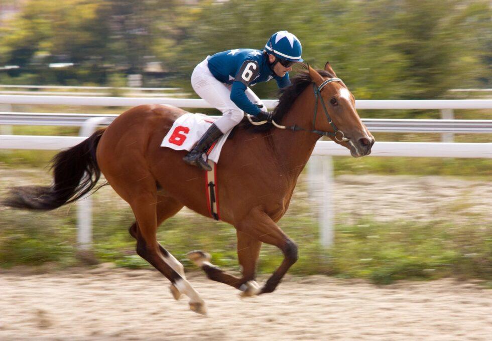 Horse racing