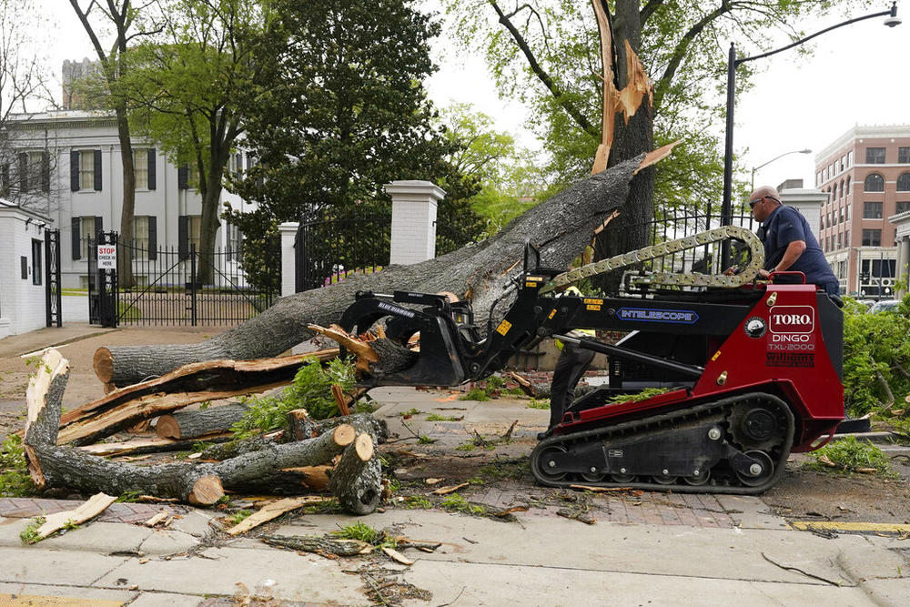 A state grounds engineer uses a mini skid steer to remove some of the limbs and trunk from this downed tree that was felled by strong winds on the grounds of the Mississippi Governor's Mansion onto a main intersection of downtown Jackson, during an outbreak of severe weather in the state, Wednesday, March 30, 2022. A section of the security fence and the decorative brick wall was damaged by the tree.