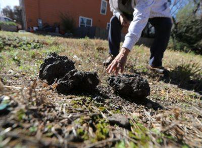 Pieces of slag in Westside neighborhood.
