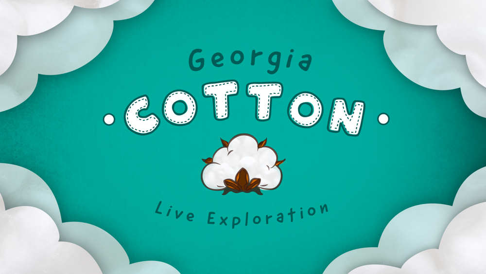 cotton logo