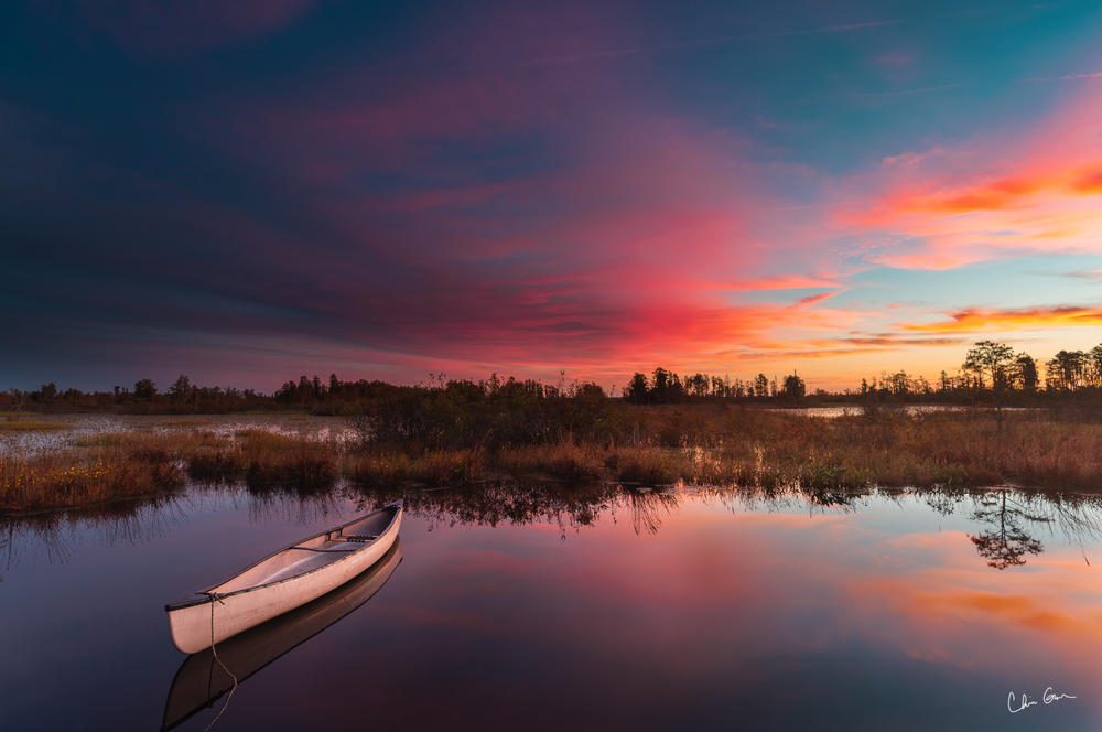 Okefenokee Swamp (View Finders)