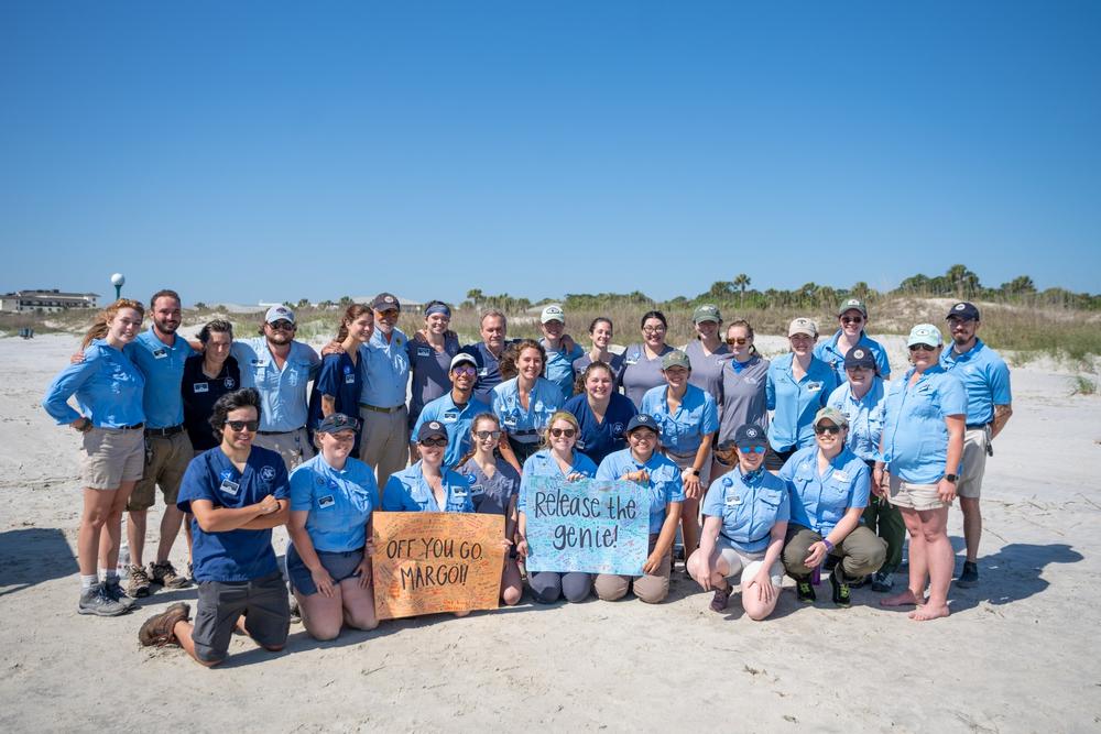 A crowd of a few hundred people along with employees of the Georgia Sea Turtle Center gathered to cheer on Genie and Margoi as they made their journey out to sea. 