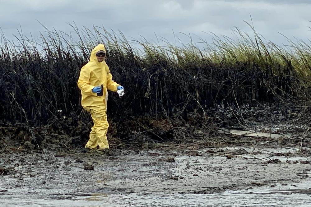 In the aftermath of the 2019 Golden Ray shipwreck, Glynn County is seeking compensation for damages caused to marshes, shorelines, water, and the local tourism economy. Altamaha Riverkeeper executive director, Fletcher Sams, checks for oil discharge from the massive car carrier. 