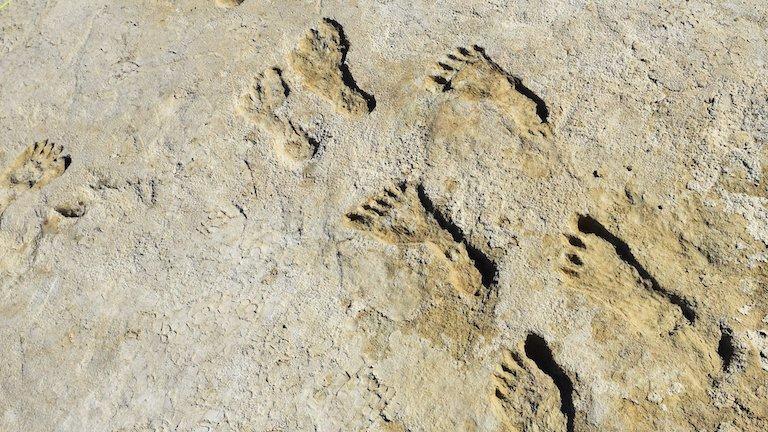 Prehistoric footprints.