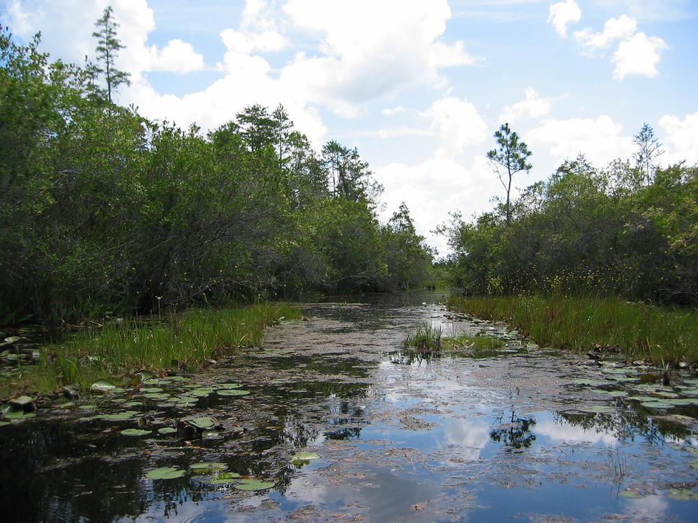 Okefenokee National Wildlife Refuge