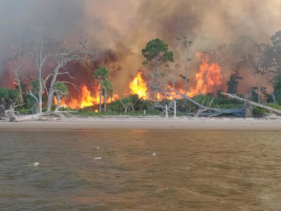 Four fires were sparked on St. Catherines Island by lightning strikes on June 11.