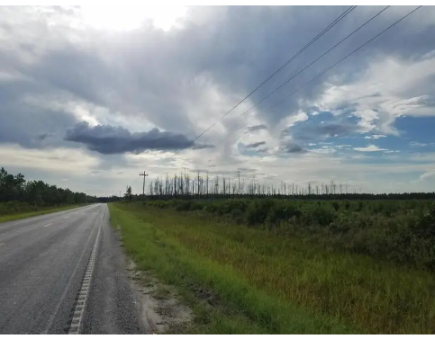 Land in southeast Georgia that Twin Pines Minerals wants to mine for zinc and other heavy minerals is near the Okefenokee National Wildlife Refuge. 