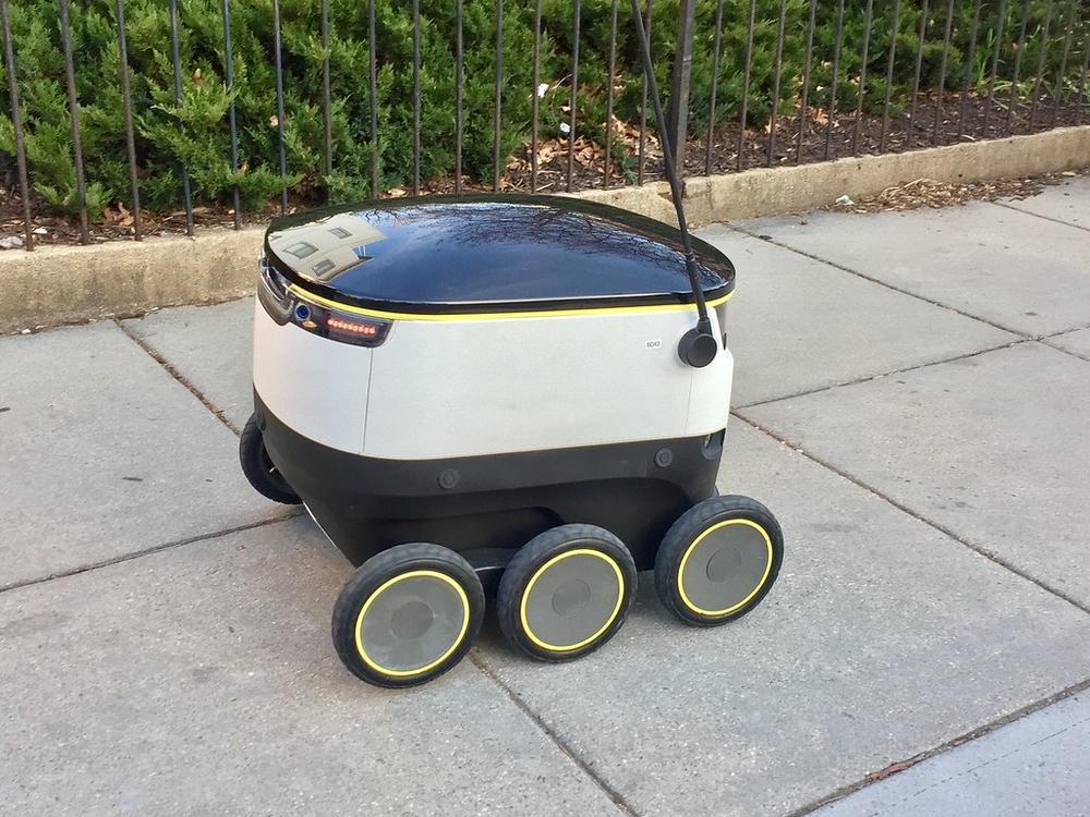 Delivery robot