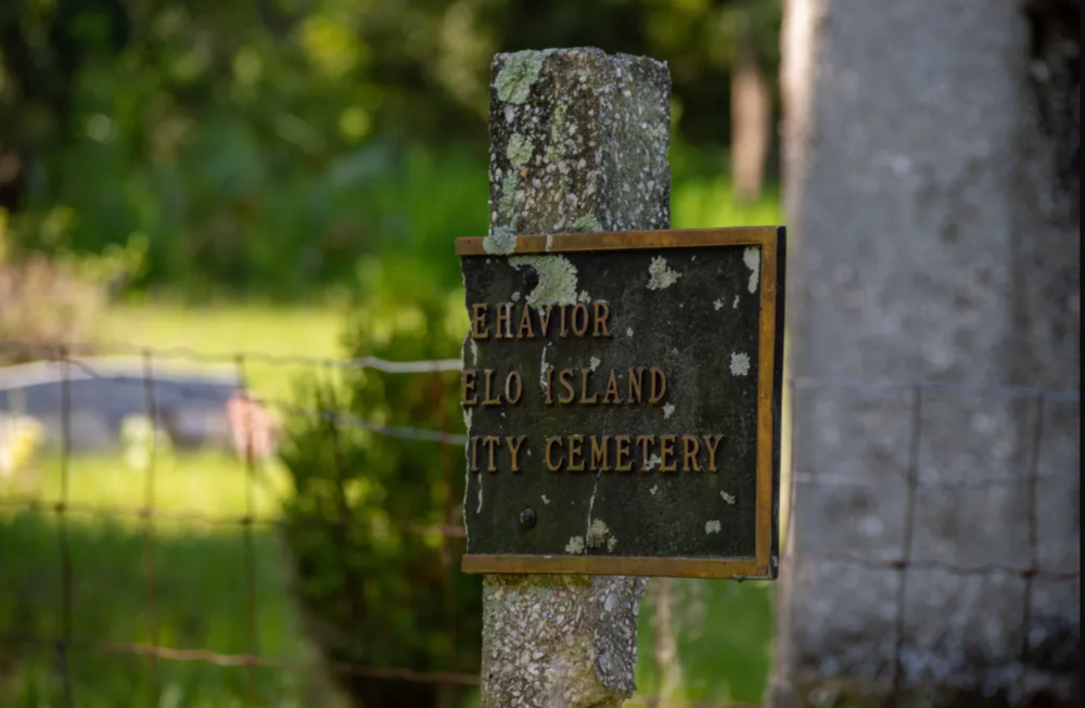 Broken sign to Behavior Cemetery, Sapelo Island.