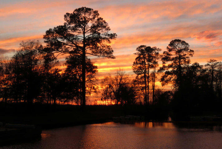  The fate of a proposed mine along the edge of the Okefenokee National Wildlife Refuge could be on its way to state environmental approval after a lawsuit settlement. 