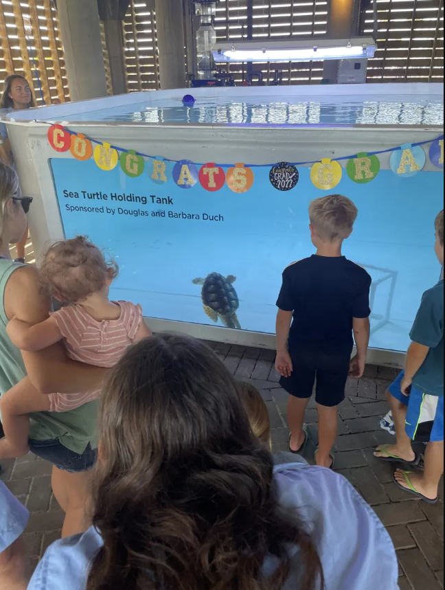 Visitors greet Ike the sea turtle in his new tank at the Tybee Island Marine Science Center.