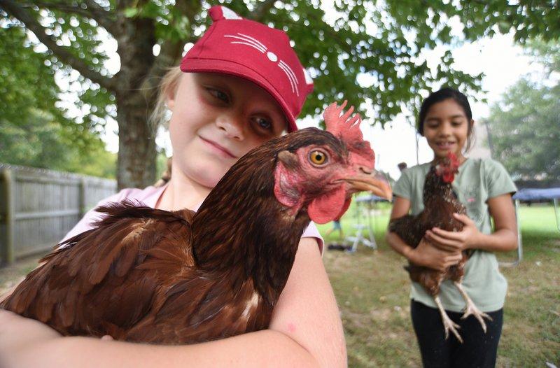 Evelyn Wilkey, 7, holds a chicken named Diva as her sister Nora, 8, holds Nugget at the Wilkey home in Catoosa County on Friday, September 2, 2022.