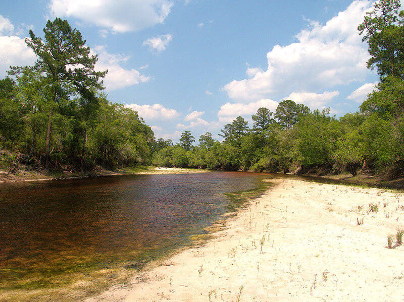  Lawmakers tried unsuccessfully a couple years ago to ban landfills within three miles of the Satilla River in south Georgia. Photo by TimothyJ via Flickr.