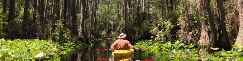 A man paddles at Stephen C. Foster State Park in Georgia. Credit: Ga DNR