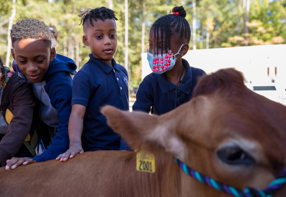 Chattahoochee Hills Charter School