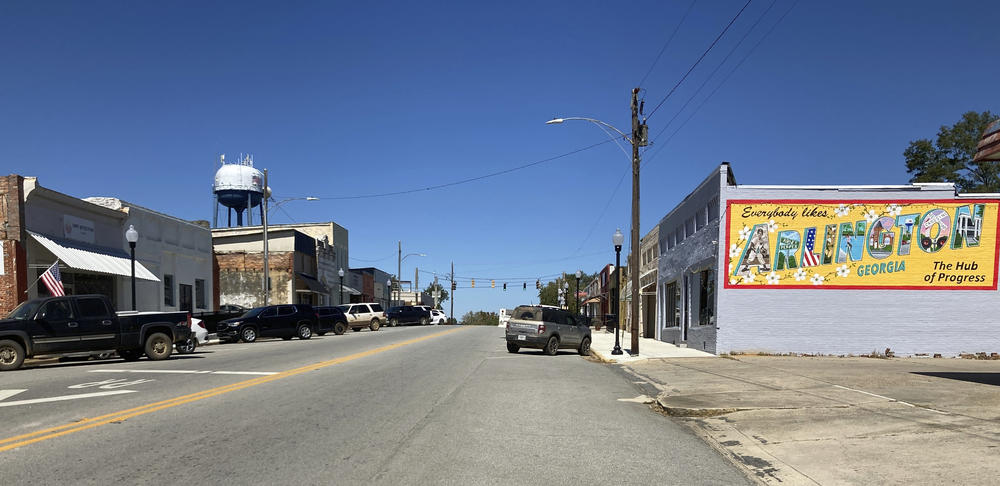 Downtown Arlington, Ga.