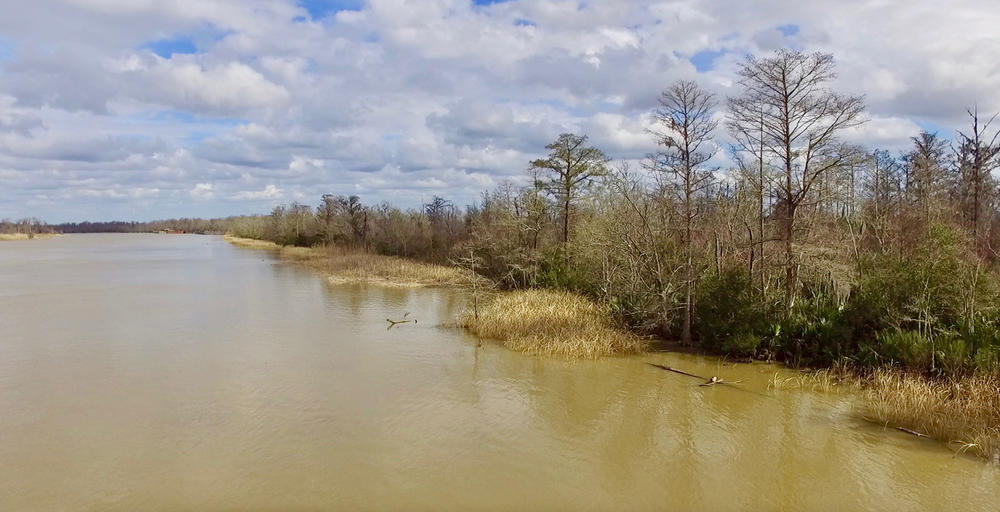 Shores of Mobile Bay