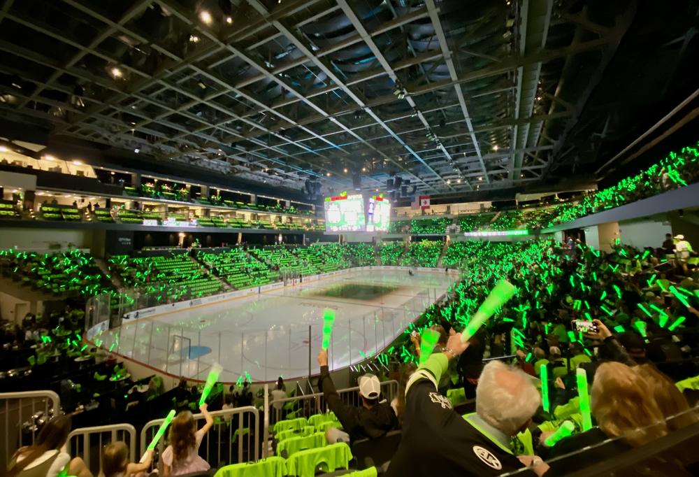 Fans of the Savannah Ghost Pirates cheer during a pregame ceremony at Enmarket Arena, shortly before the team played its inaugural home game.