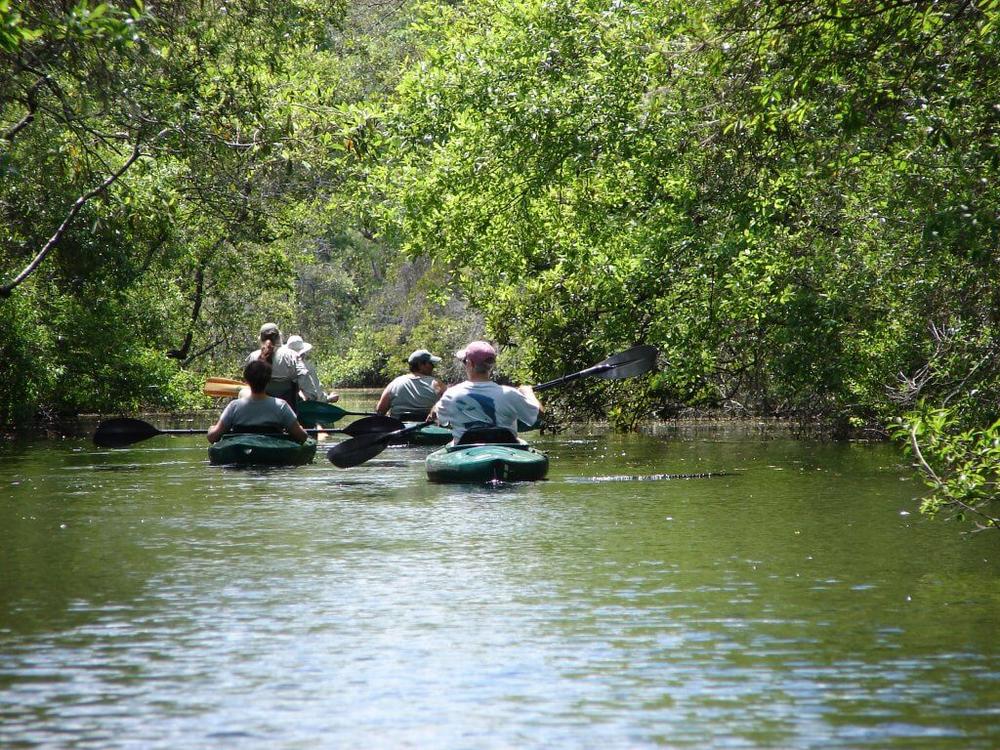  Each year, hundreds of thousands of people visit the Okefenokee National Wildlife Refuge in southeast Georgia to kayak, hike, fish, and participate in other recreational activities. A federal lawsuit filed on Nov. 15 by environmental groups claims that the U.S. Army Corps of Engineers is violating the Clean Water Act by not protecting wetlands that are at risk of mining. Photo contributed by Joy Campbell