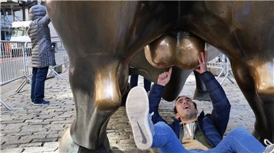 A man on his back examines the Wall Street bull statue's testicles in New York City as part of a campaign to raise awareness about testicular cancer.