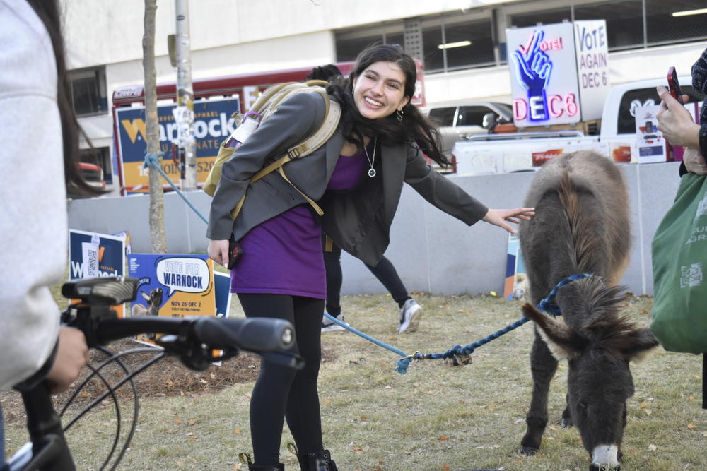  Hercules the donkey visits with a Georgia State University student Nov. 29. Warnock supporters made big moves to secure the 18-24 vote, including bringing farm animals to major college campuses for students to pet. Ross Williams/Georgia Recorder
