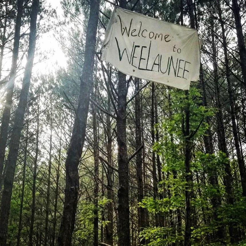 Opponents of the $90 million public safety training center erect a flag in the trees of the Weelaunee forest. They have been protesting for months by building platforms in surrounding trees and camping out at the site. 