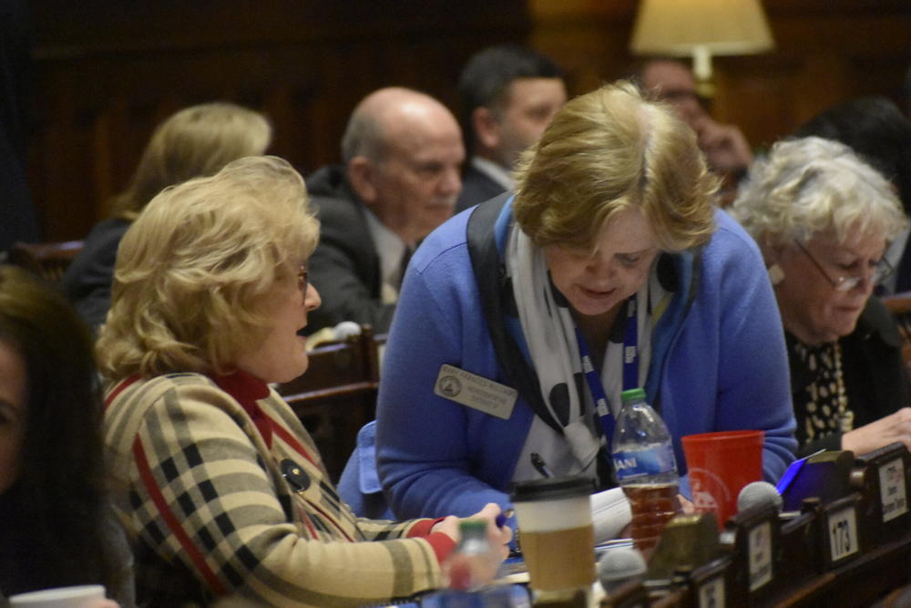 Rep. Darlene Taylor (left), a Thomasville Republican, convinced lawmakers on both sides of the aisle to support her proposed “Okefenokee Protection Act.” Rep. Mary Frances Williams (center), a Marietta Democrat, was one of them. Ross Williams/Georgia Recorder