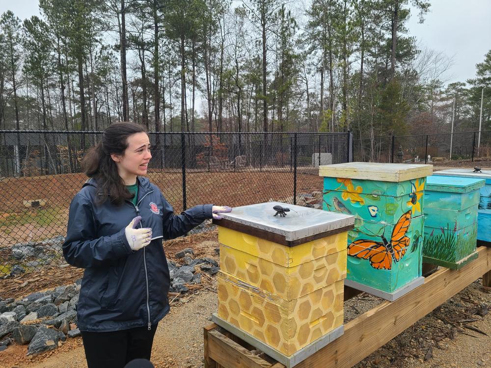 Qwen Twiner works at Peachtree Farms where they have several beehives for honey, beeswax, and sustainable pollination. 