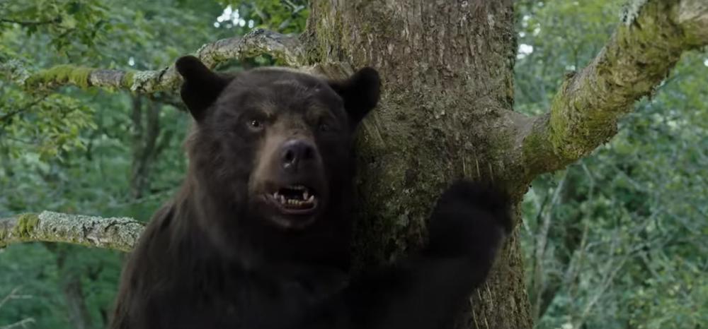 Bear from the movie Cocaine Bear