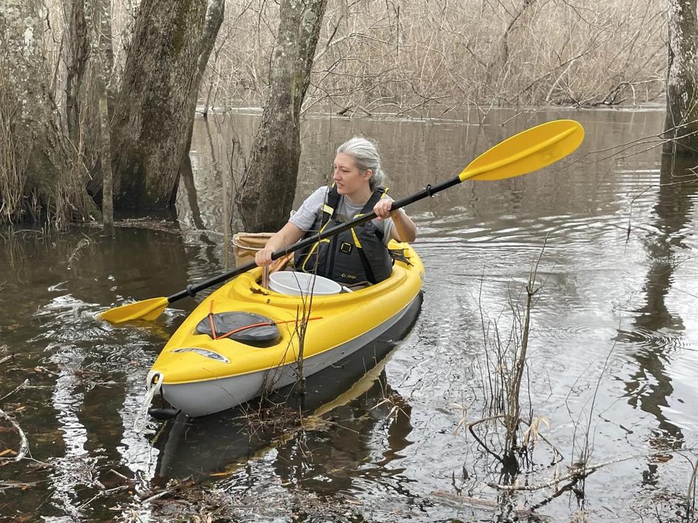 Research fellow Molly McKeon paddles in from sampling invertebrates on the Ogeechee. Credit: Mary Landers/The Current
