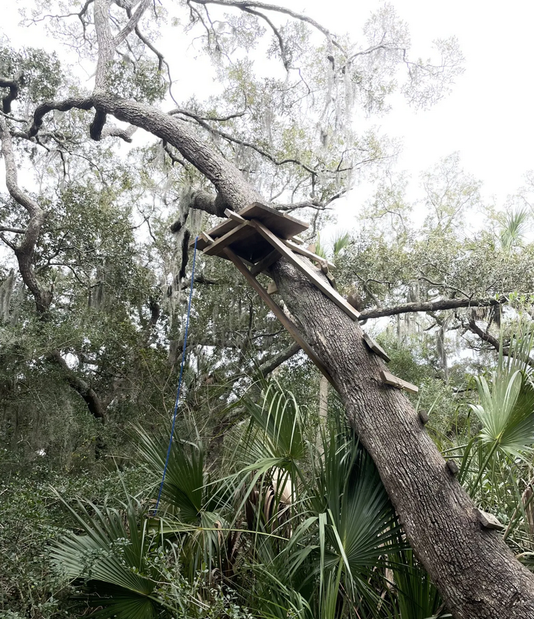 A rope swing at Twin Palms Credit: Mary Landers/The Current