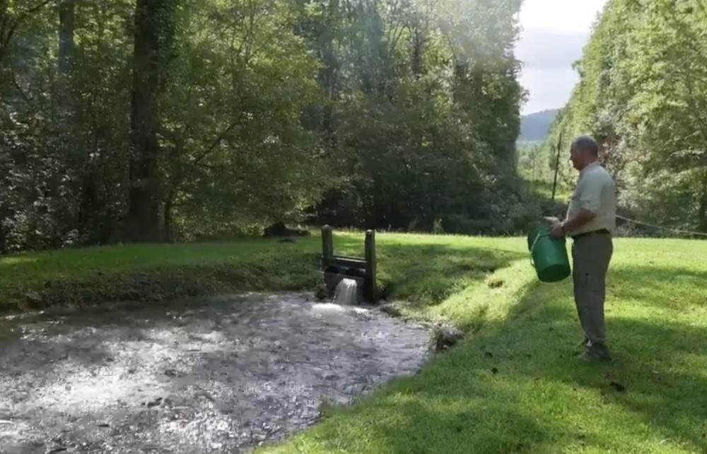 Bramlett Trout Farm