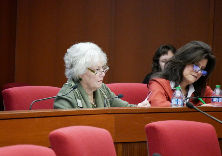 Rep. Lynn Smith, a Newnan Republican who chairs the House Natural Resources and Environment Committee, listens to the public comments on a bill that would ban future mining applications on Trail Ridge near the Okefenokee Swamp. Jill Nolin/Georgia Recorder