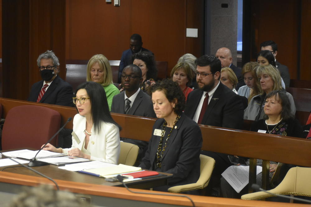  Rep. Michelle Au, left, presents her gun storage bill. Ross Williams/Georgia Recorder