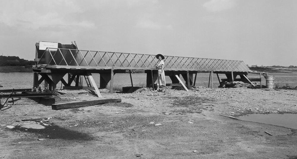 A photo of Mária Telkes and her solar still. January 1952.