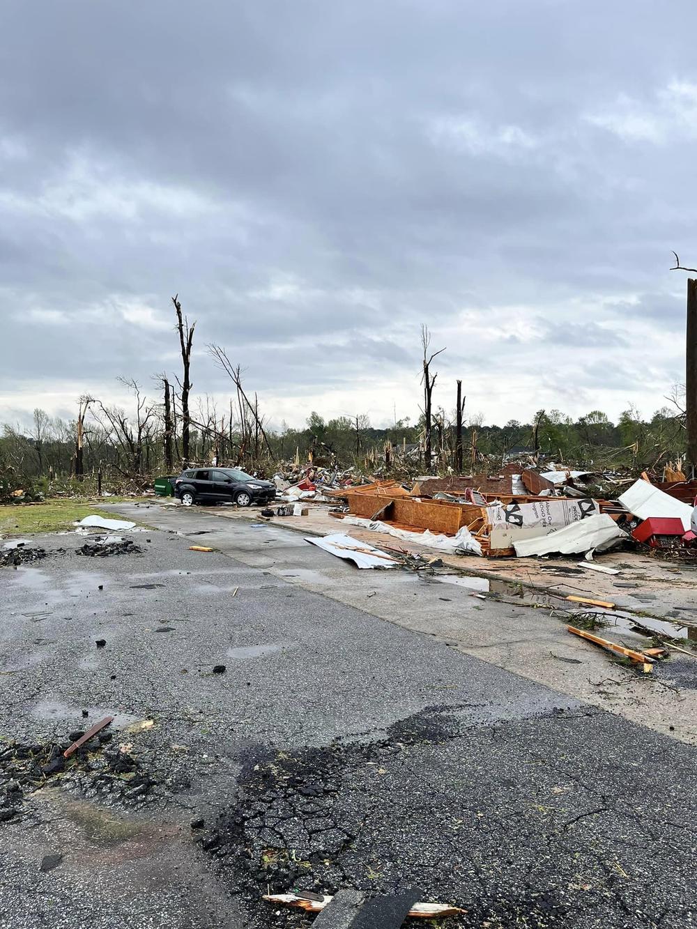 Snapped trees and destroyed homes are pictured.