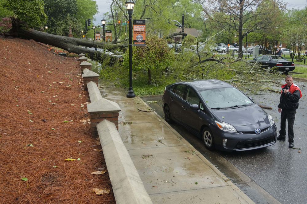 A downed oak tree blocks traffic in Macon's Mercer Village after a line of storms with heavy winds blew through Monday morning, March 27, 2023.