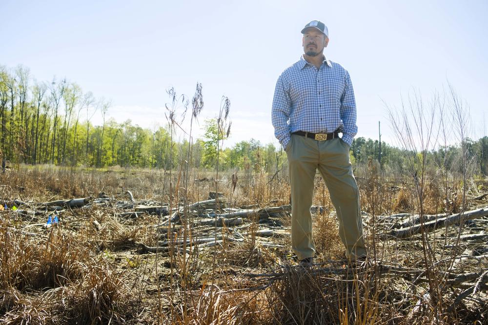 Forester and farmer Vince Stanley in the hardwood bottom where some of the 10,500 genetically engineered poplars on his land are planted. 