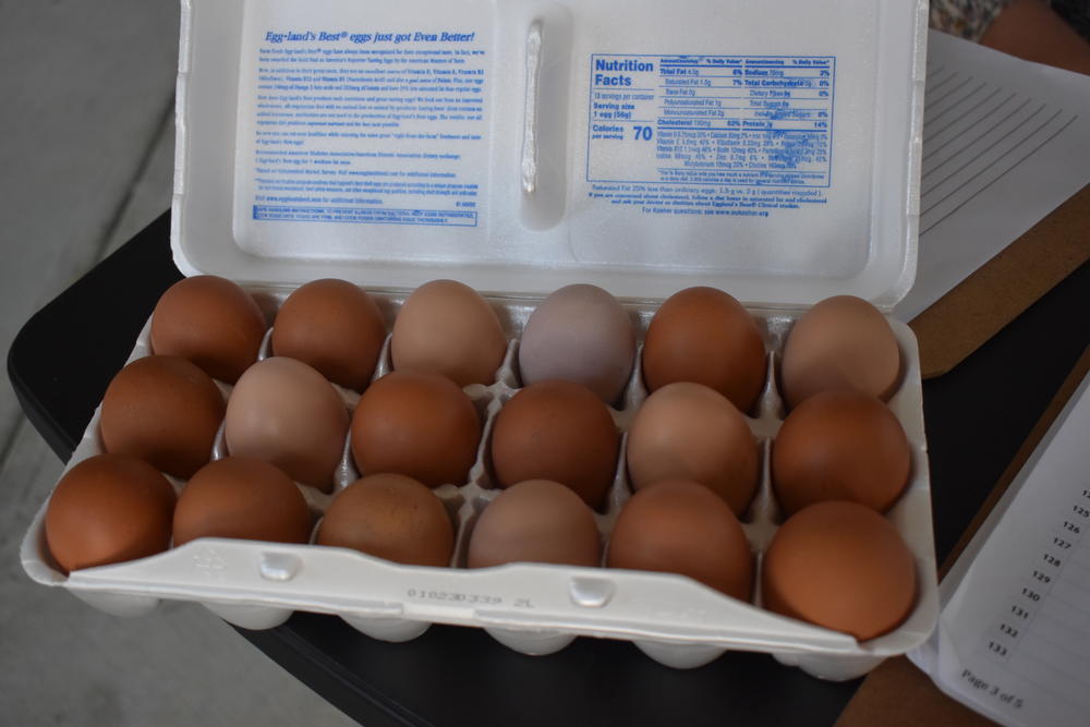 Chicken advocates brought a container of eggs from their backyard chickens to the Catoosa County Board of Commissioners meeting Tuesday, April 18, 2023.