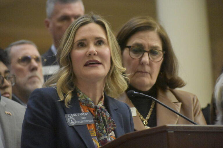  State Sen. Elena Parent, an Atlanta Democrat, laments that the GOP-controlled Legislature once again stalled repeal of the so-called tampon tax in 2023. Ross Williams/Georgia Recorder