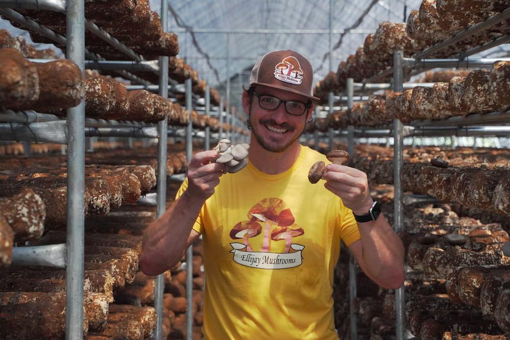 Howard Berk of Ellijay Mushrooms