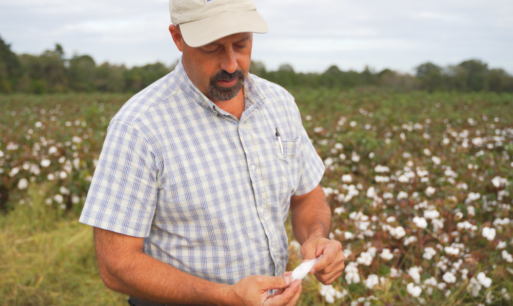 Manager Michael Brooks of Southern Drawl Cotton