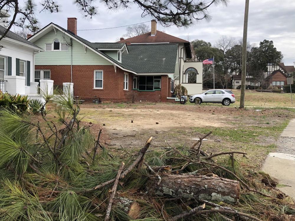 A pile of debris from the removal of two pine sits in front of the Middle Georgia MLS building in February. The business removed the trees before getting the required approval in the Vineville Historic District.