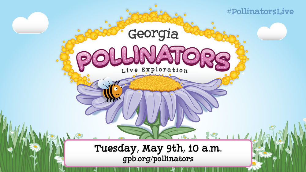 pollinators live 