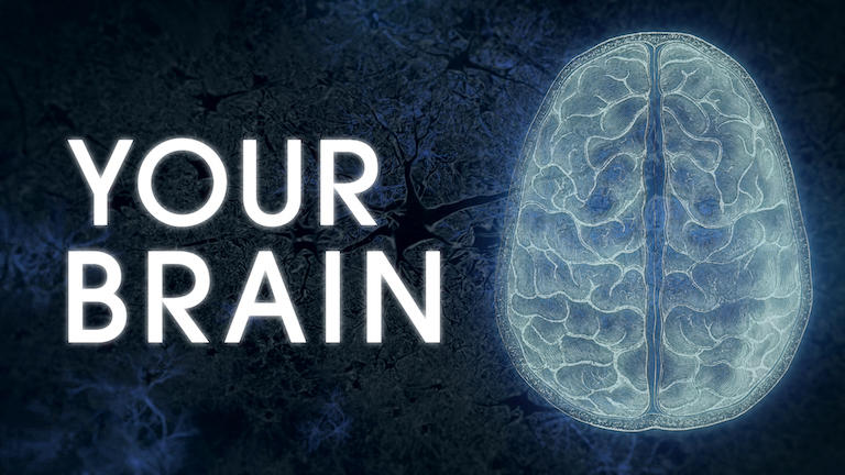 "Your Brain" title card