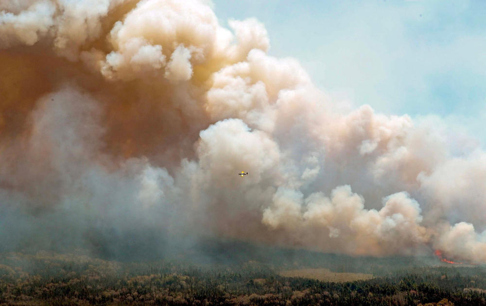 wildfire