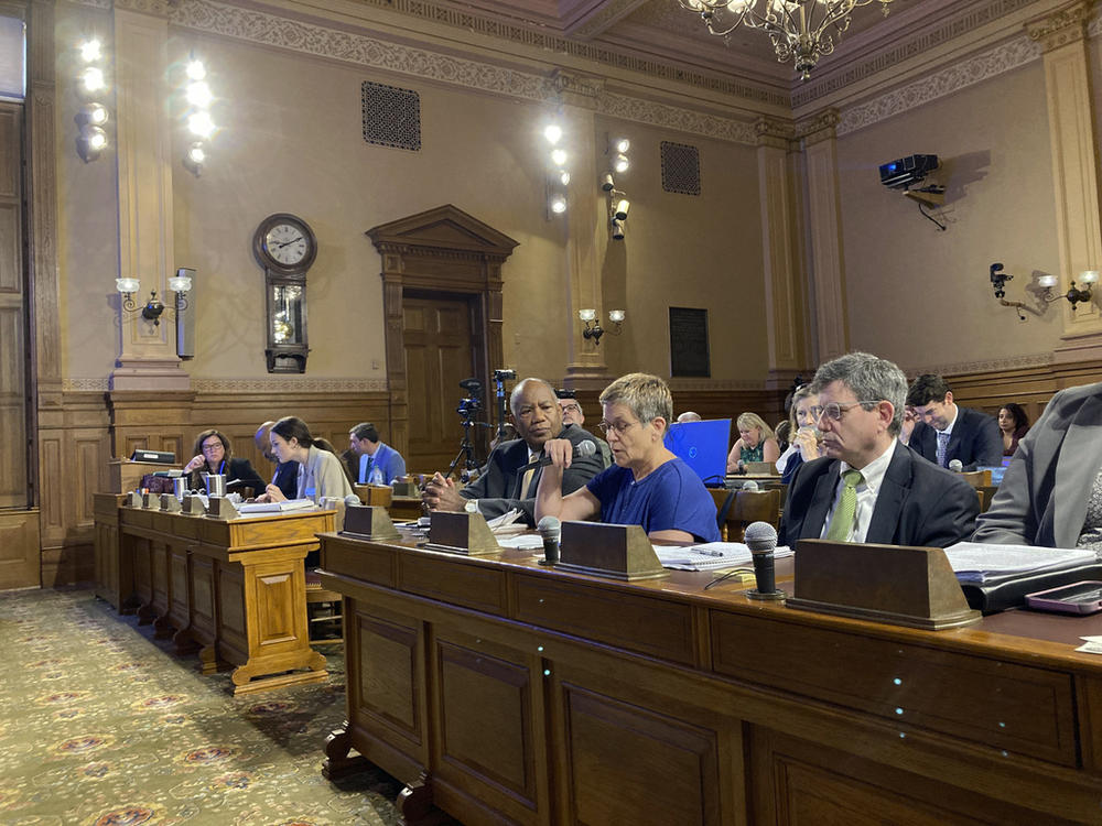 Fulton County Board of Registration and Elections Chair Cathy Woolard addresses Georgia's State Elections Board on Tuesday, June 20, 2023, at the state capitol in Atlanta. The state board voted unanimously to end its investigation into the Fulton board and not take over running elections in Georgia's most populous county. 